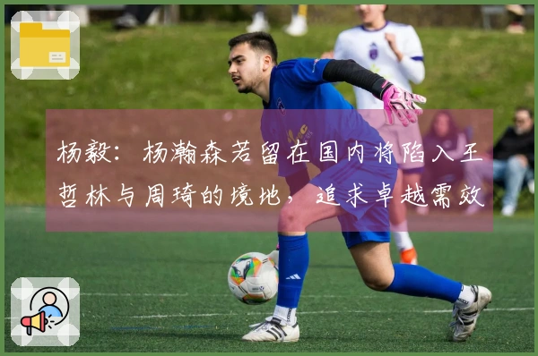 杨毅：杨瀚森若留在国内将陷入王哲林与周琦的境地，追求卓越需效仿姚明